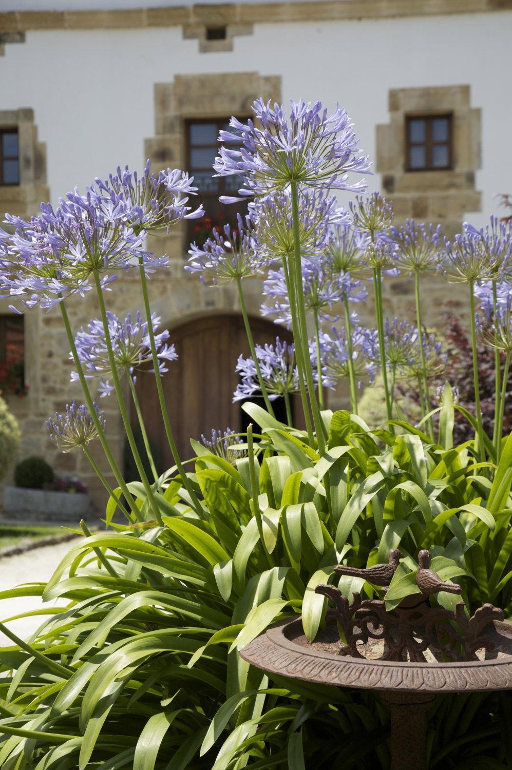 Hotel Casona De San Pantaleón de Aras Zewnętrze zdjęcie